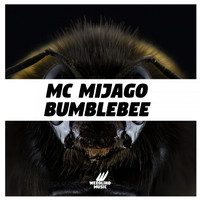 The Hat Girl - Bumblebee