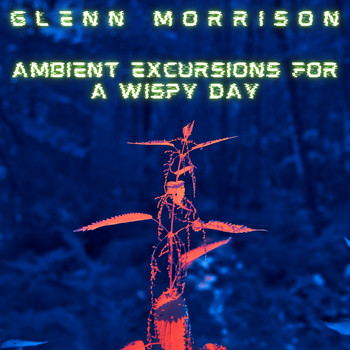 Glenn Morrison - Ambient Excursions For A Wispy Day