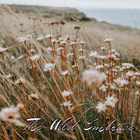 Modus - The Wild Embrace