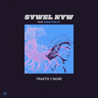 Sywel Nyw - Traeth y Bore