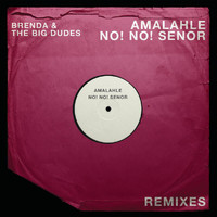 Brenda & The Big Dudes - Amalahle