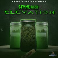 Standard - Elevation