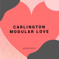 Carlington - Modular Love