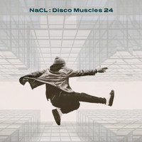 NaCl - Disco Muscles 24 (Nick Salter Remix)