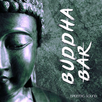 Buddha-Bar - Epidemic Sound