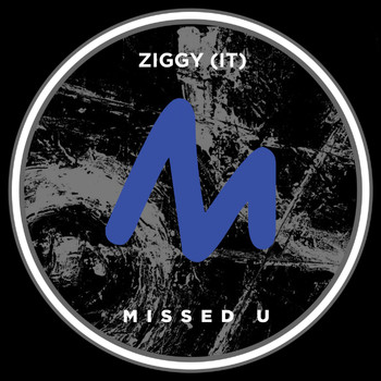 Ziggy (IT) - Missed U