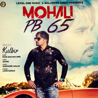Kulbir - Mohali P.B. 65