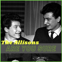 The ALLISONS - Are You Sure