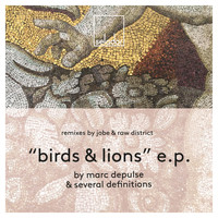 Several Definitions & Marc DePulse - Birds & Lions EP