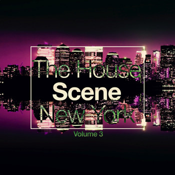 Various Artists - The House Scene: New York, Vol. 3 (A DJ House Selection)