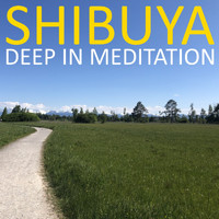 Shibuya - Deep in Meditation