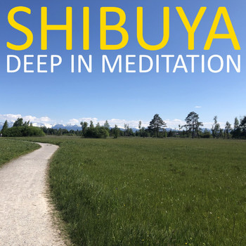 Shibuya - Deep in Meditation