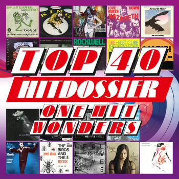 Various Artists - TOP 40 HITDOSSIER - One Hit Wonders (Explicit)