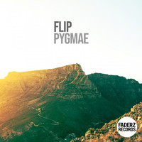 Flip - Pygmae