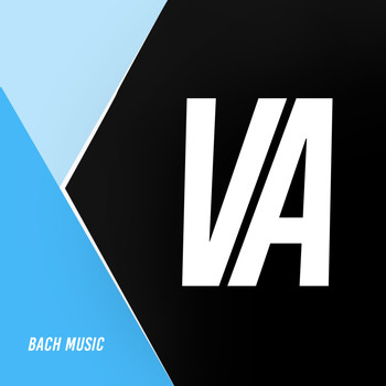 Various Artists - VA