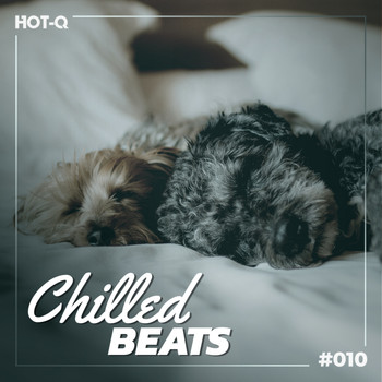 Various Artists - Chilled Beats 010