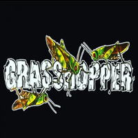 Grasshopper - Duka Pertiwi