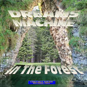 Dreams Machine - Nella Foresta