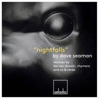Dave Seaman - Nightfalls