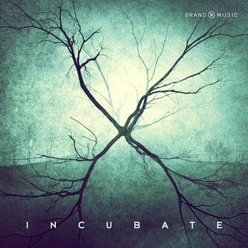 Brand X Music - Incubate