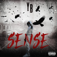 YB - Sense