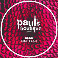 Çesc - Right Lab