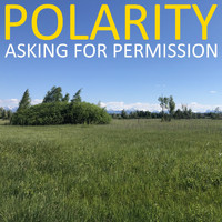 Polarity - Asking for Permission