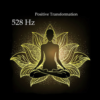 Music Body and Spirit - 528 Hz Positive Transformation