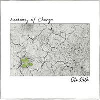 Oto Roth - Anatomy of Change