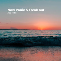 Joe Mitri - Now Panic & Freak out