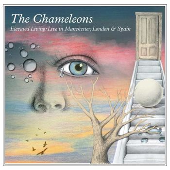 The Chameleons - Elevated Living: Live In Manchester, London & Spain (Explicit)