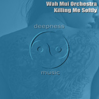 Wah Mui Orchestra - Killing Me Softly
