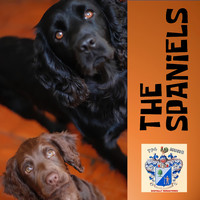 The Spaniels - The Spaniels