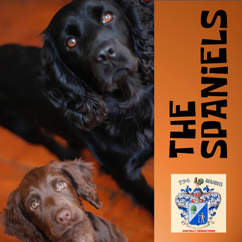 The Spaniels - The Spaniels
