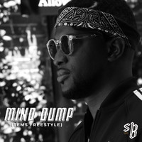 SB - Mind Dump (Tems Freestyle)