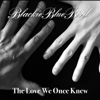 BlackieBlueBird - The Love We Once Knew