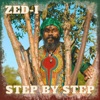 Zed-I - Step by Step