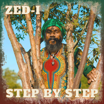 Zed-I - Step by Step