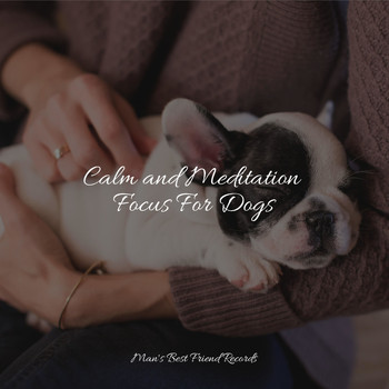 Relaxation Music For Dogs, Calm Doggy, Jazz Music Therapy for Dogs - Natural Meditation Focus Tracks For Dogs