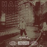 Harley D - Say Nothing EP
