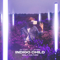 Wolf Culture - INDIGO CHILD