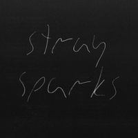The Goodbye Party - Stray Sparks