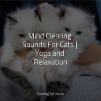 Jazz Music Therapy for Cats, Music For Cats Peace, Official Pet Care Collection - Mind Clearing Sounds For Cats | Yoga and Relaxation