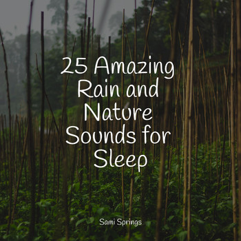 Soothing White Noise for Infant Sleeping and Massage, Yoga Namaste, The White Noise Zen & Meditation Sound Lab - 25 Amazing Rain and Nature Sounds for Sleep