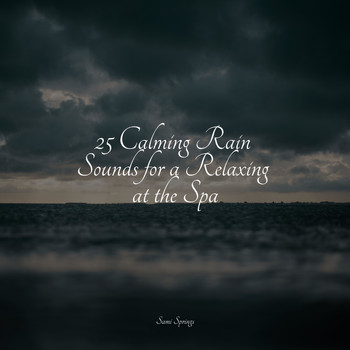 Study Music & Sounds, Water Spa, Nature Music Pregnancy Academy - 25 Calming Rain Sounds for a Relaxing at the Spa