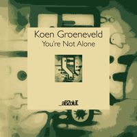 Koen Groeneveld - You're Not Alone