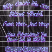 Blind Truth - Why Can't We See (Alan Fitzpatrick You Can't See Us Mix)