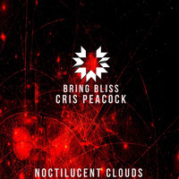 Bring Bliss and Cris Peacock - Noctilucent Clouds