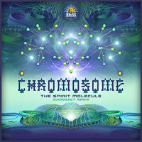Chromosome - The Spirit Molecule (Audiodact Remix)
