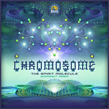 Chromosome - The Spirit Molecule (Audiodact Remix)